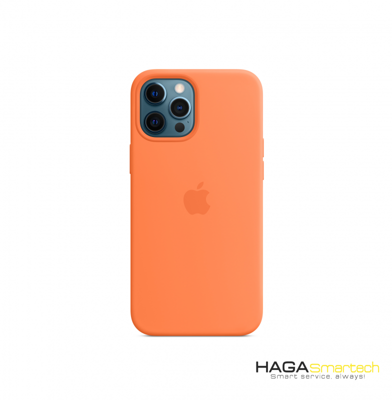 Ốp lưng iPhone 12 Pro Max (2)
