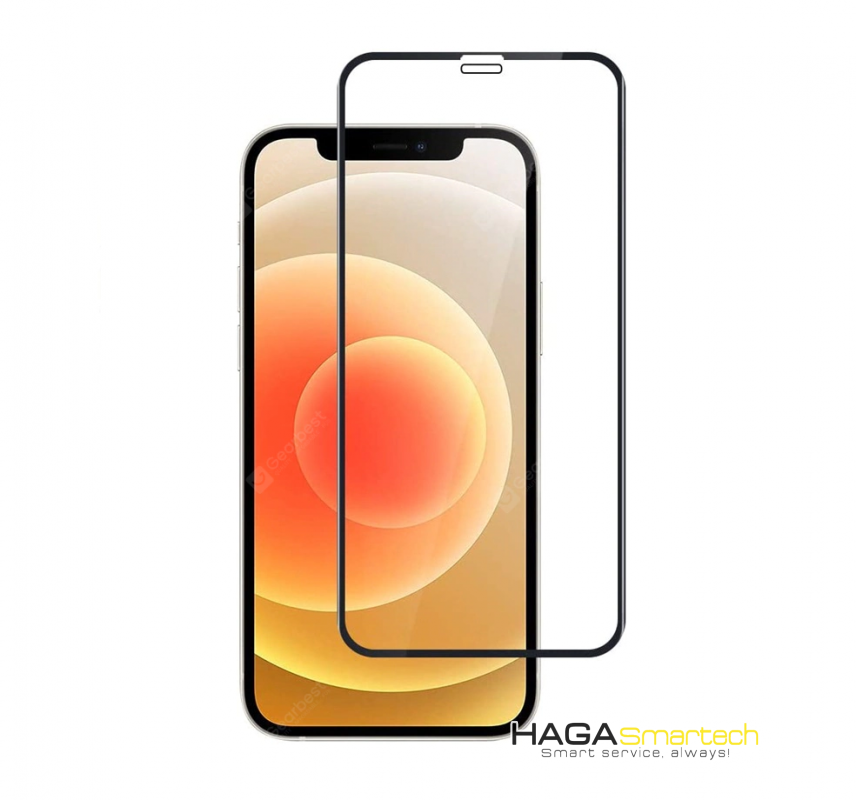 Kính cường lực iPhone 12 Pro Max 6.7 (2)