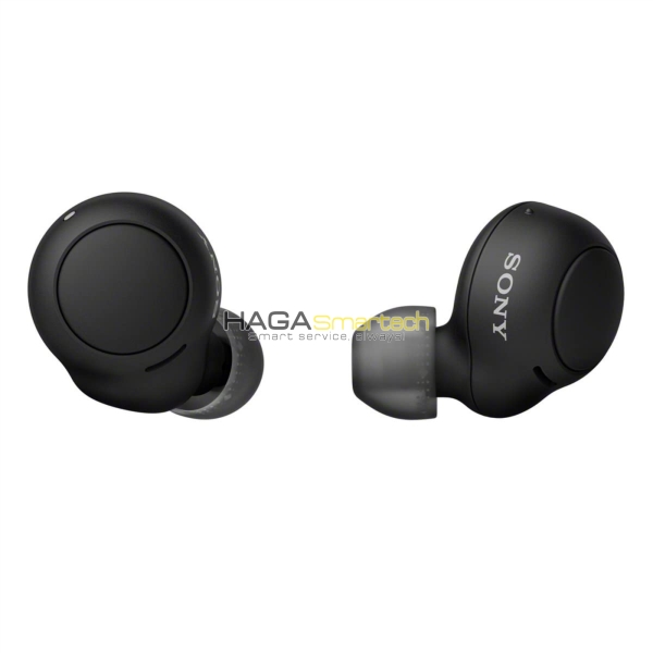 Sony WF-C500 Truly Wireless Earbuds