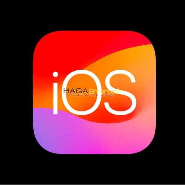 iPhone Software Installation Service