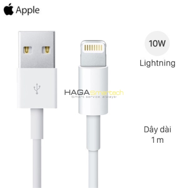 Lightning iPhone cable (1m)